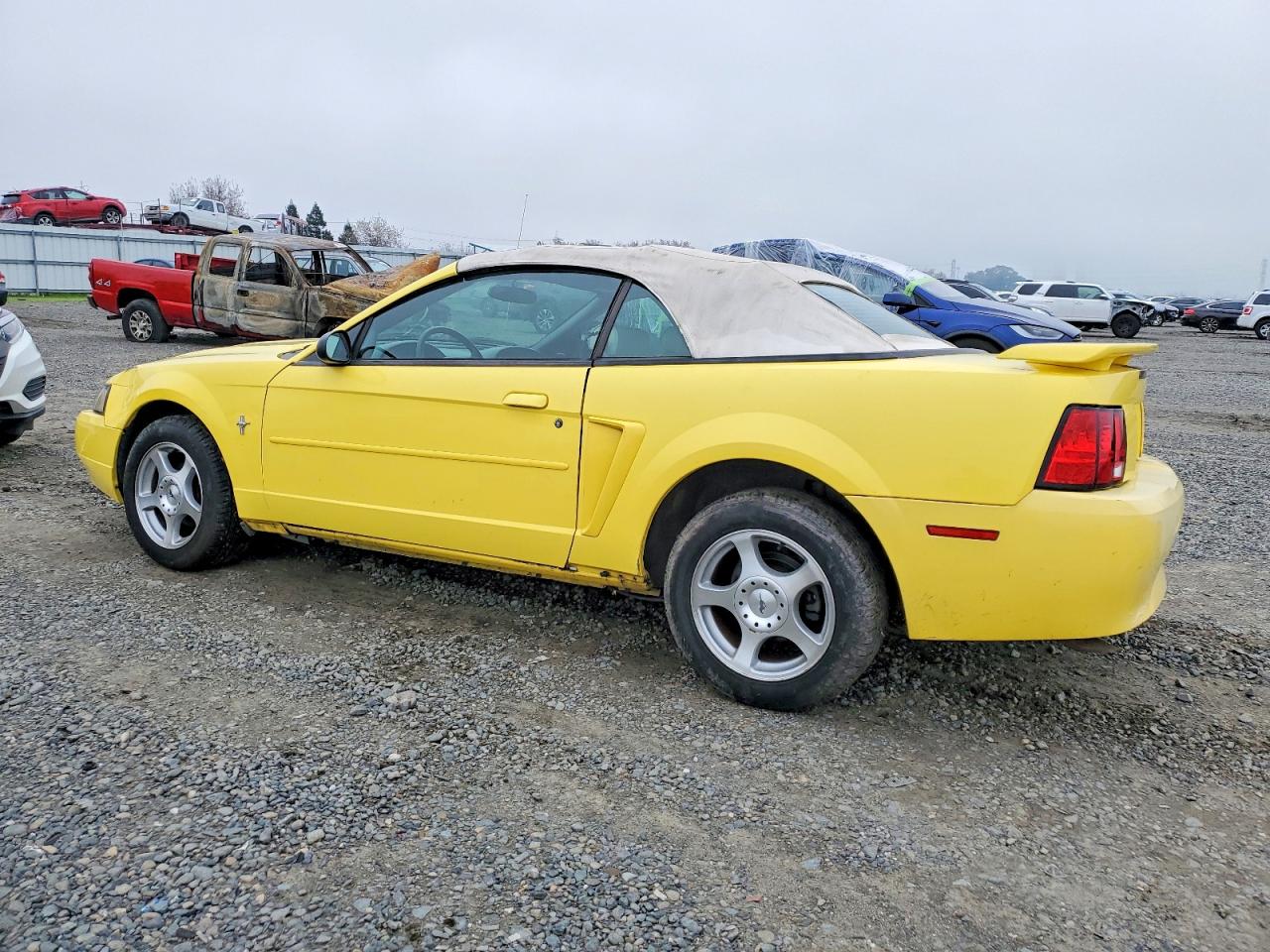 2003 FORD MUSTANG photo 2