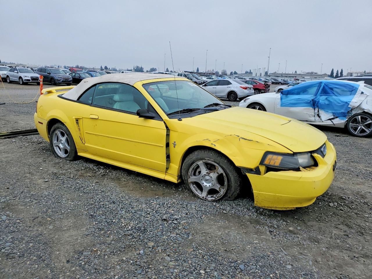 2003 FORD MUSTANG photo 4