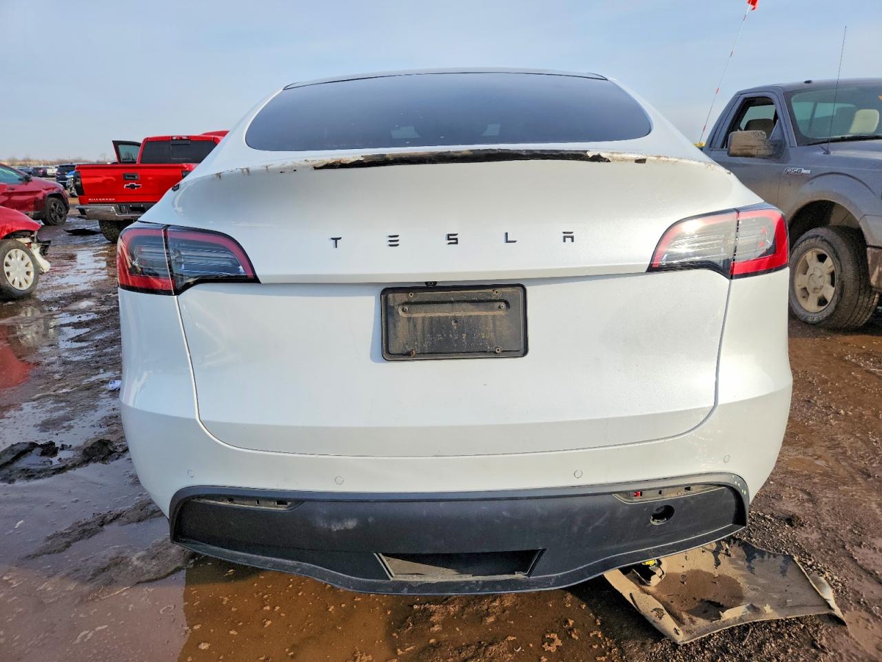 2021 TESLA MODEL Y photo 6
