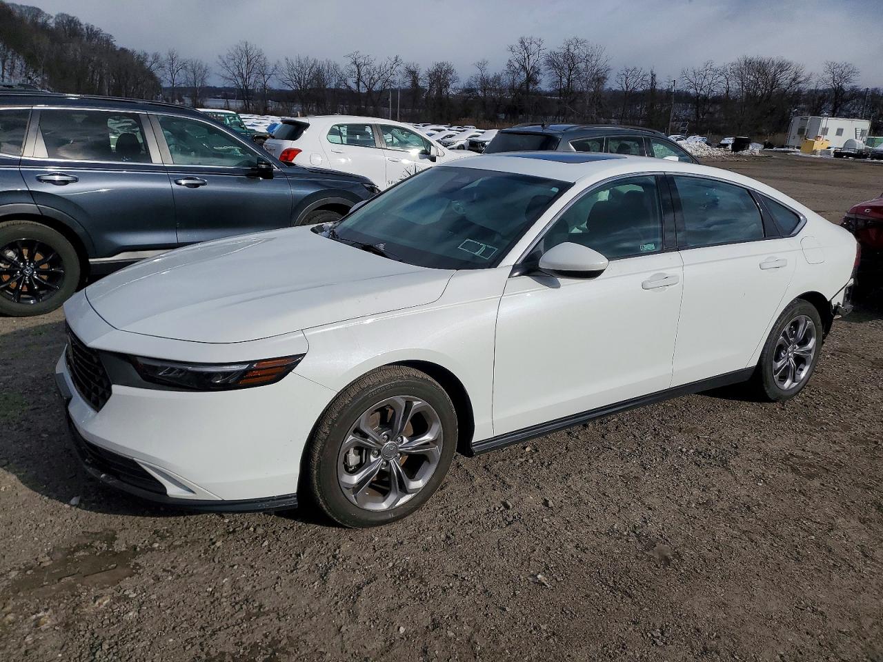 2024 HONDA ACCORD