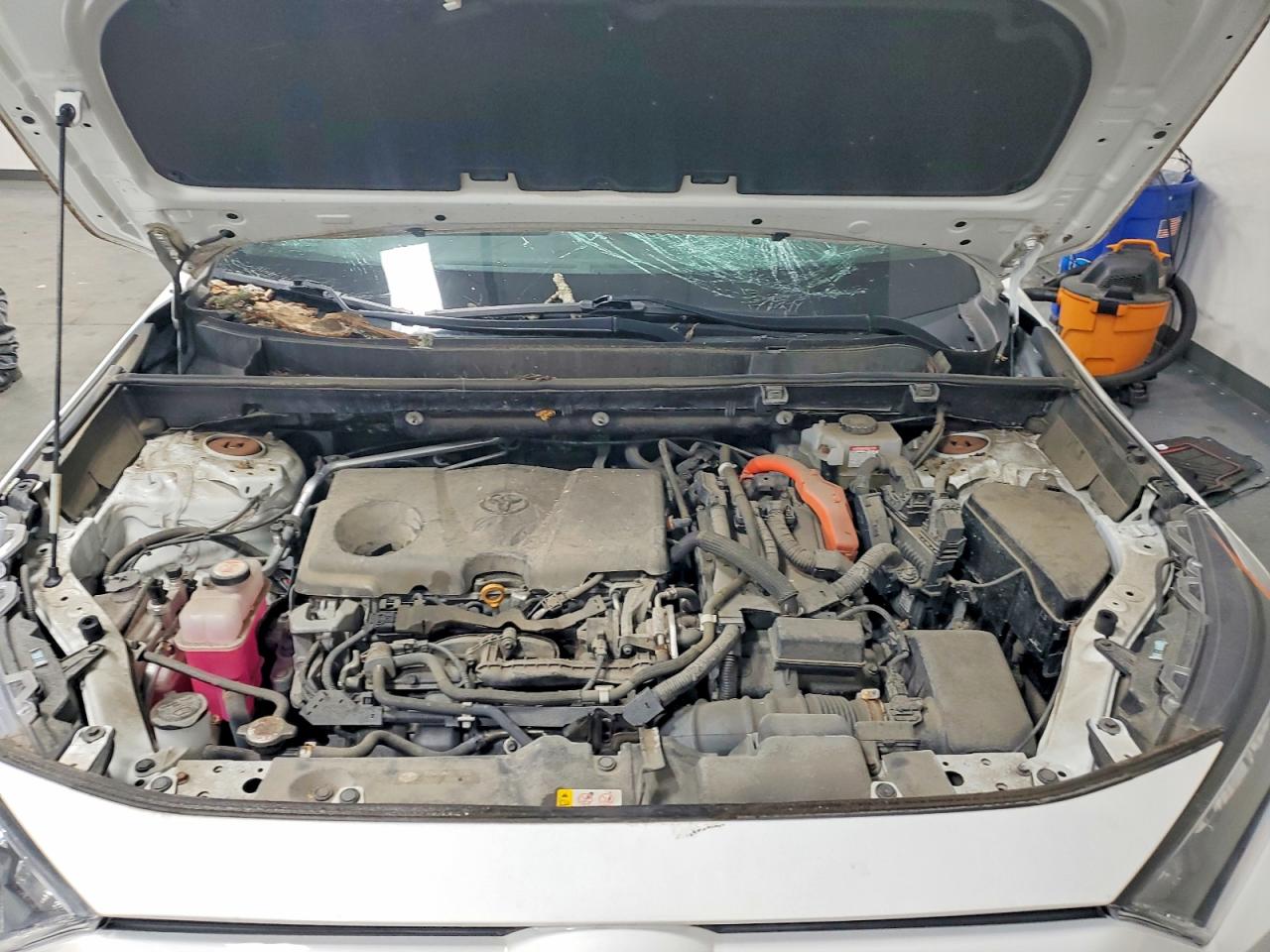 2019 TOYOTA RAV4 LE photo 12