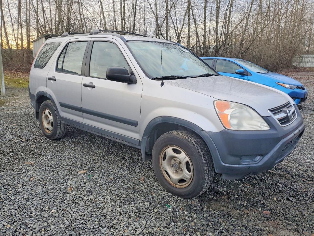 2003 HONDA CR-V LX photo 4