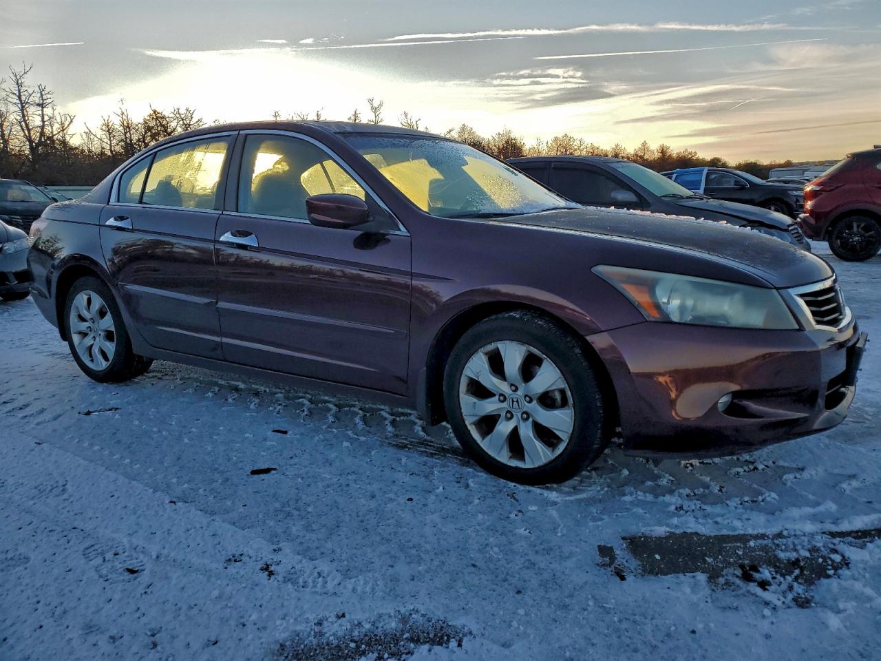 2010 HONDA ACCORD EXL photo 4