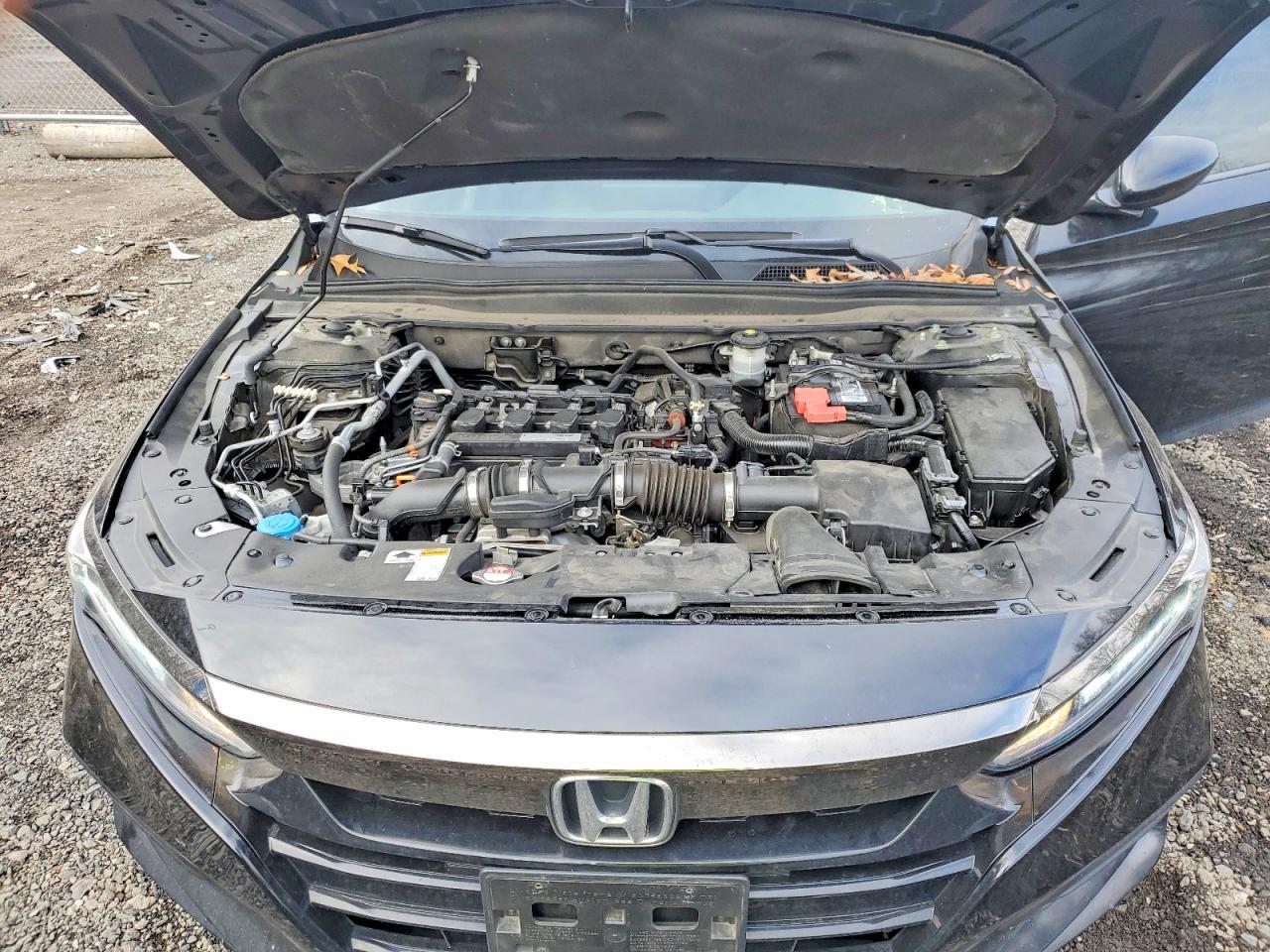2020 HONDA ACCORD SPORT photo 11