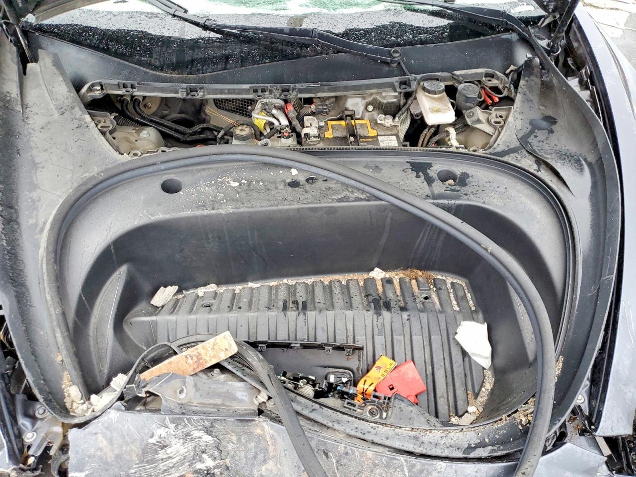 2021 TESLA MODEL 3 photo 21