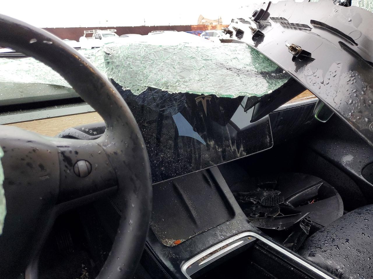 2021 TESLA MODEL 3 photo 17