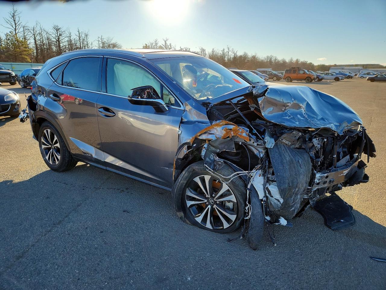 2021 LEXUS NX 300 BASE photo 4
