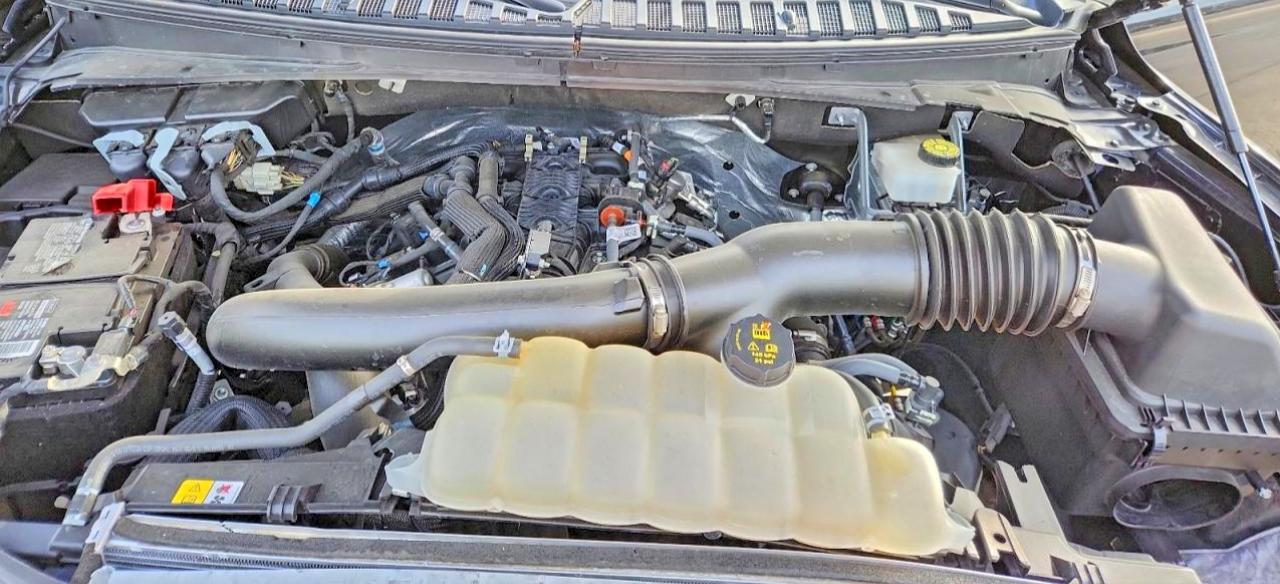 2024 FORD EXPEDITION LIMITED photo 11