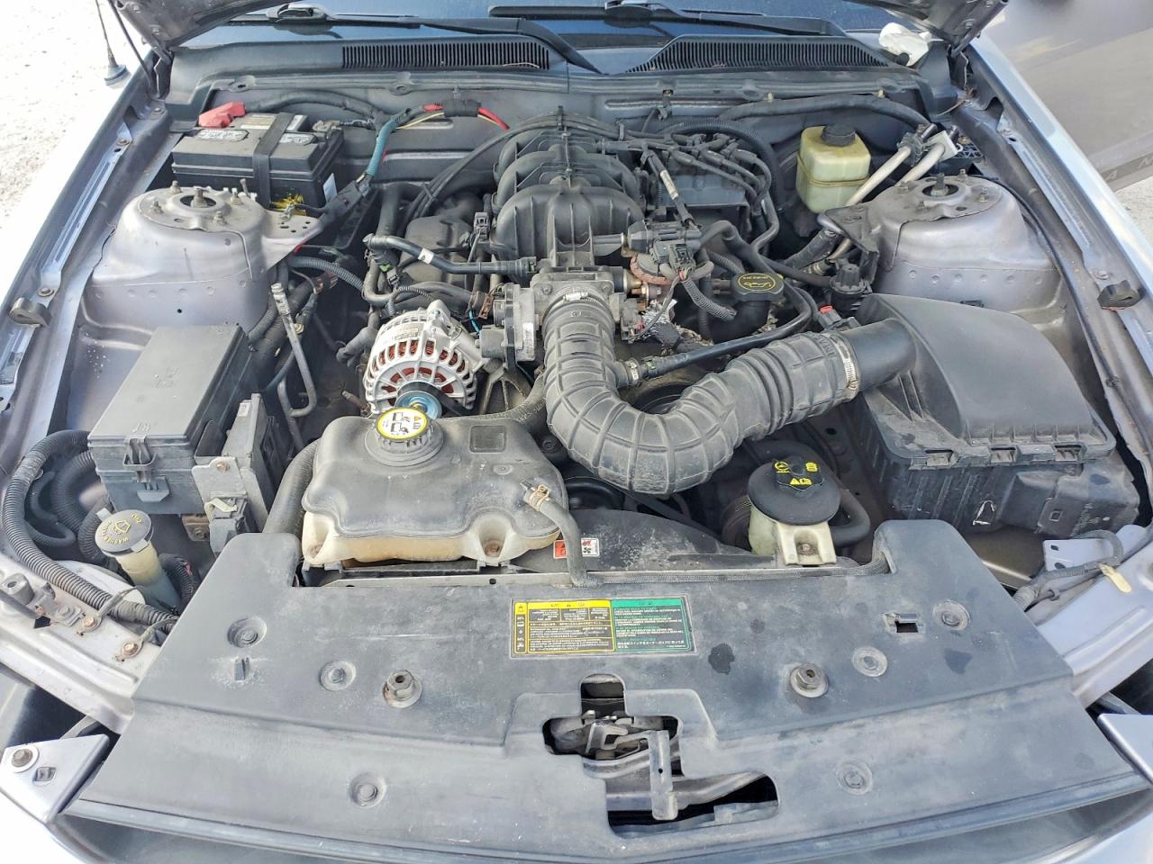 2006 FORD MUSTANG photo 11