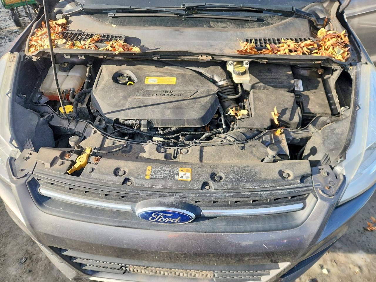 2014 FORD ESCAPE SE photo 12