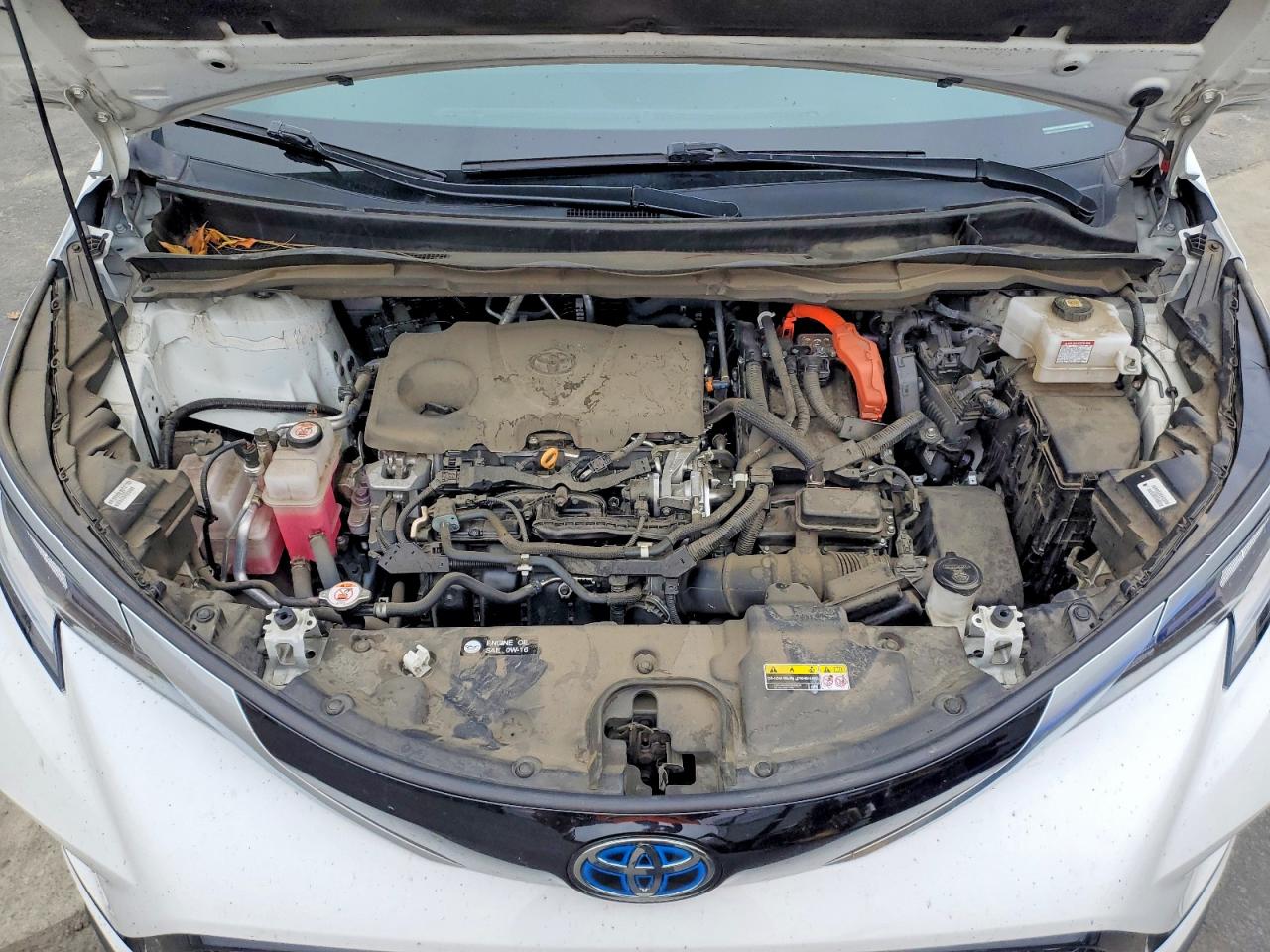 2021 TOYOTA SIENNA XSE photo 12
