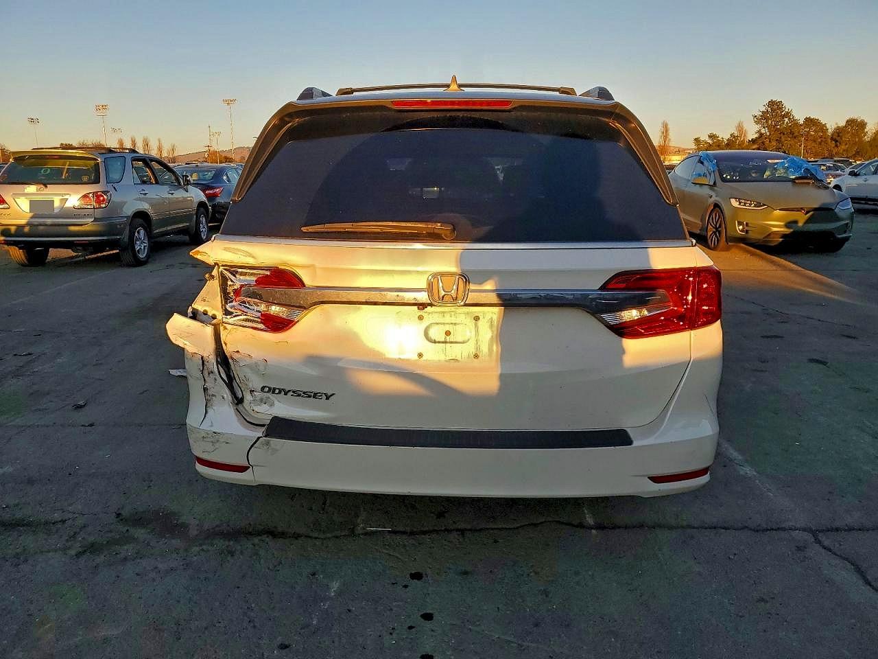 2019 HONDA ODYSSEY EXL photo 6