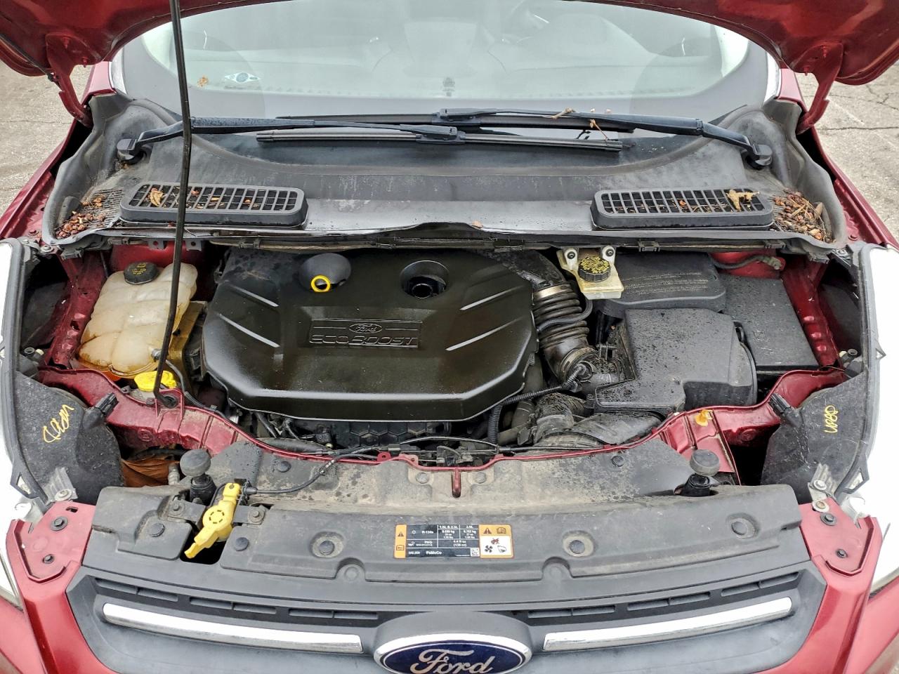 2014 FORD ESCAPE SE photo 12