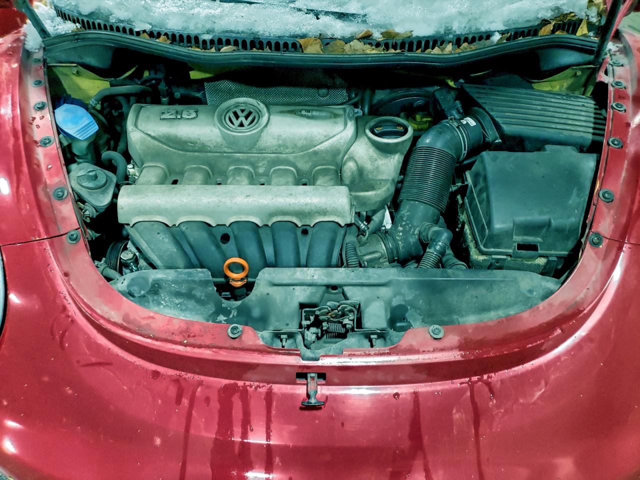 2008 VOLKSWAGEN NEW BEETLE S photo 11