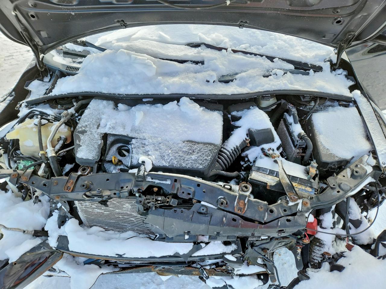 2013 TOYOTA COROLLA BASE photo 11