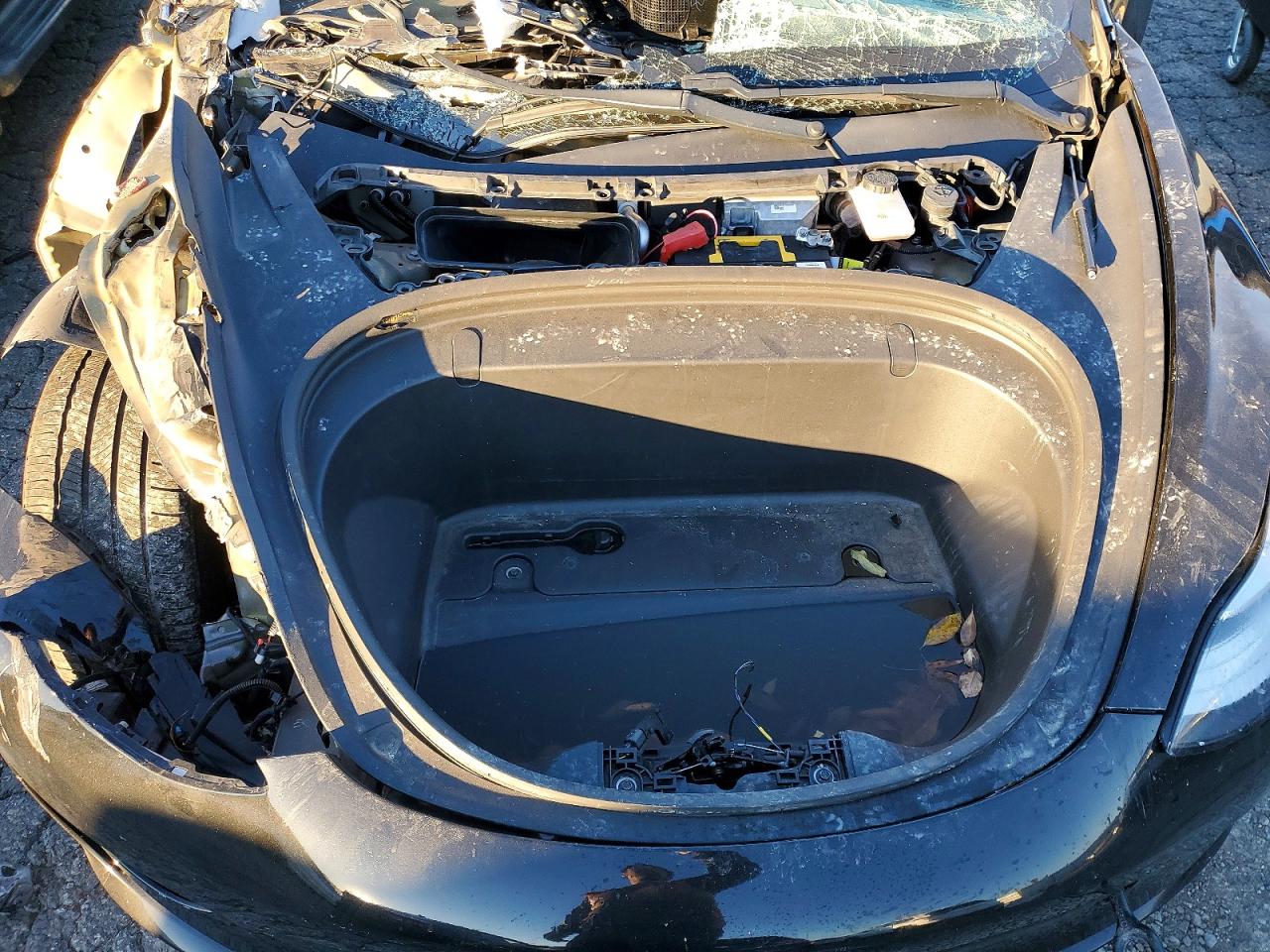 2020 TESLA MODEL 3 photo 11