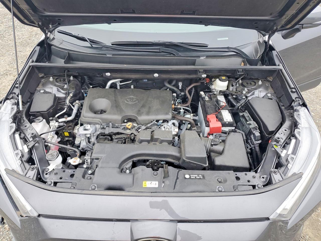 2025 TOYOTA RAV4 XLE photo 12