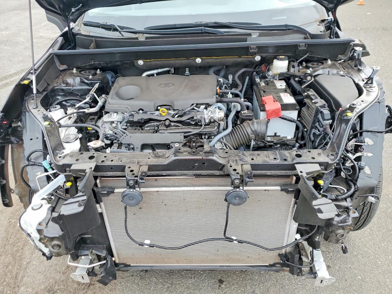 2024 TOYOTA RAV4 XLE photo 12