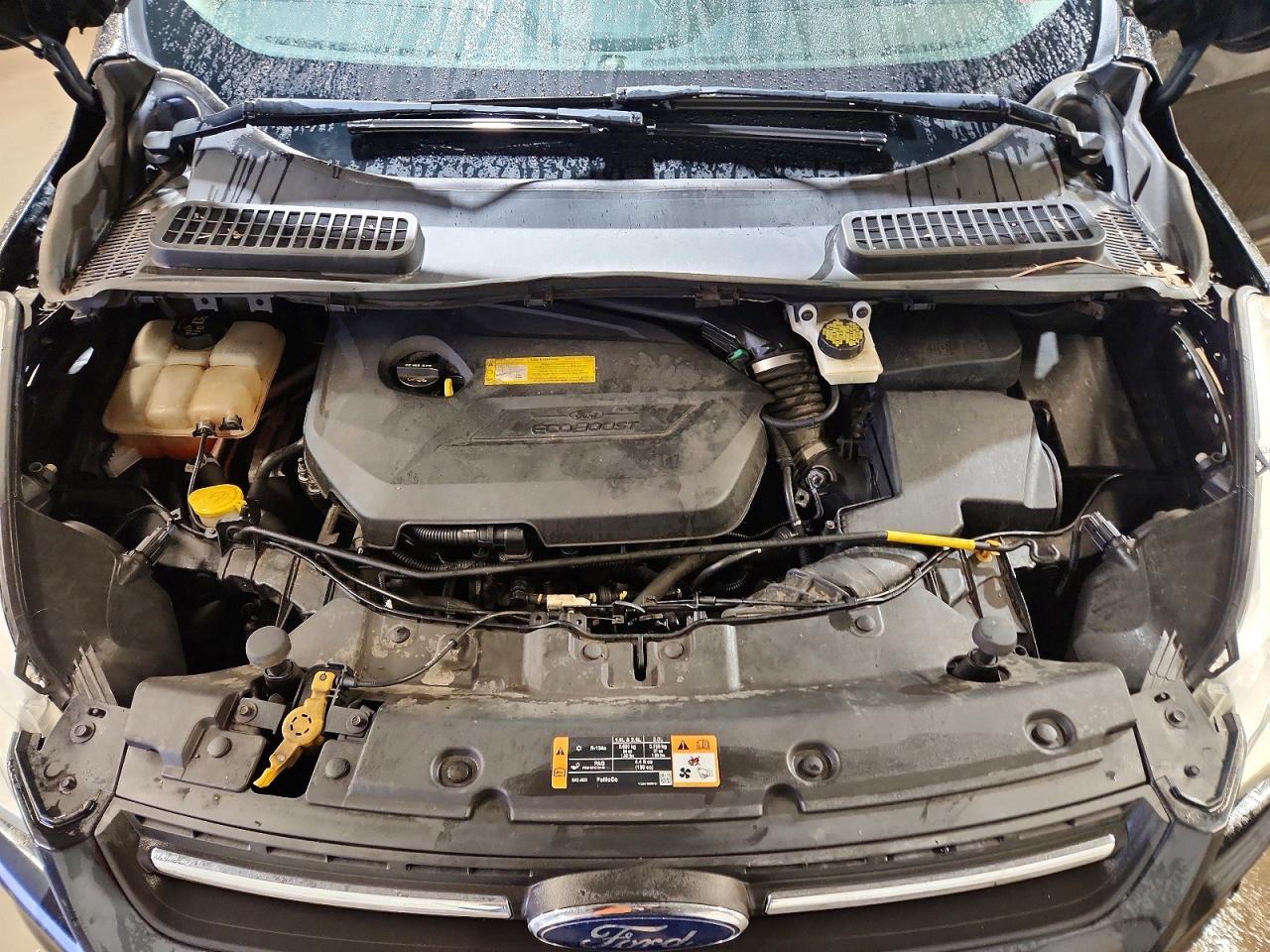 2016 FORD ESCAPE SE photo 11