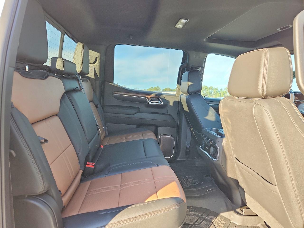2023 CHEVROLET SILVERADO C1500 HIGH COUNTRY photo 10