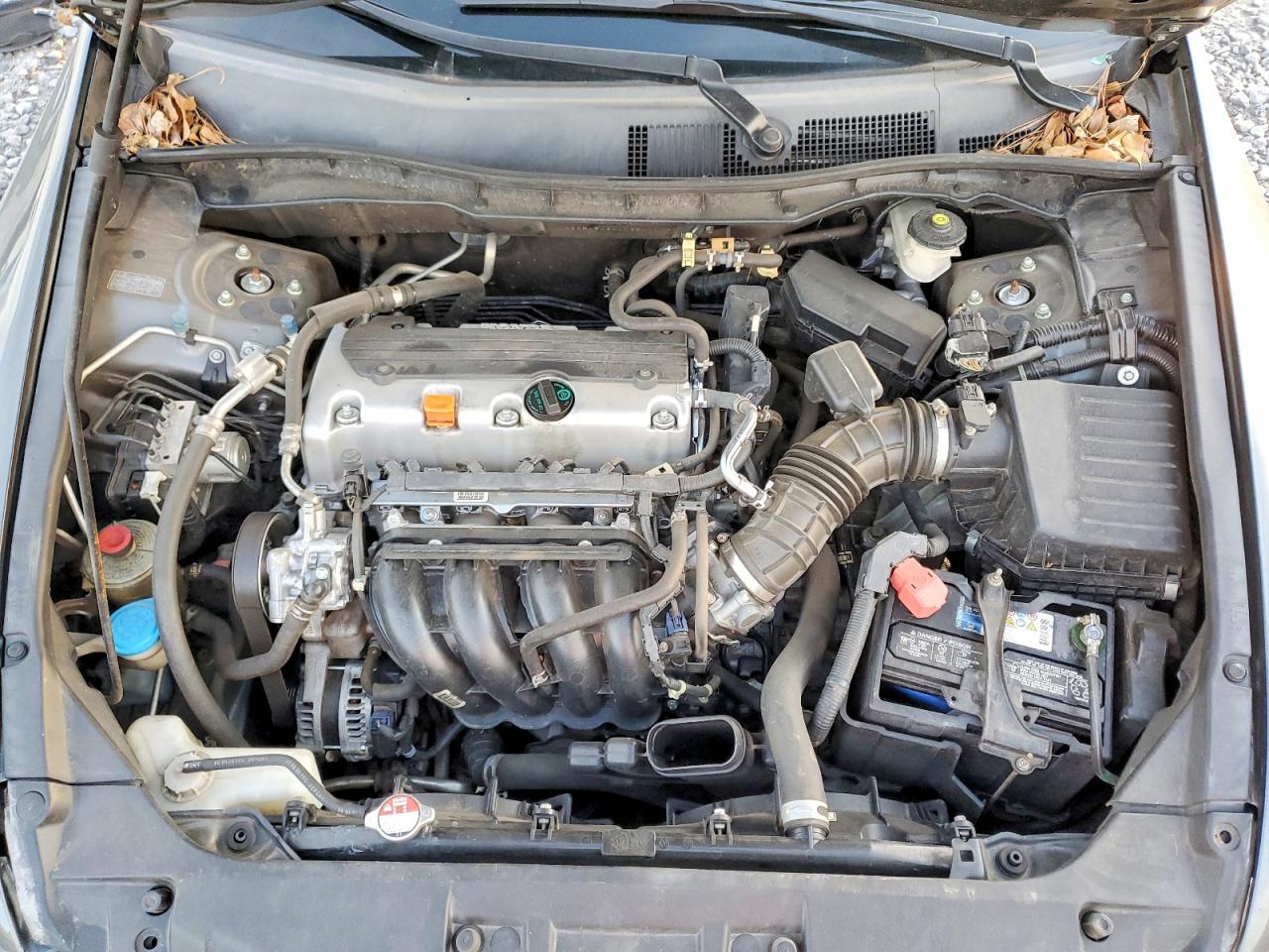 2010 HONDA ACCORD LXP photo 21