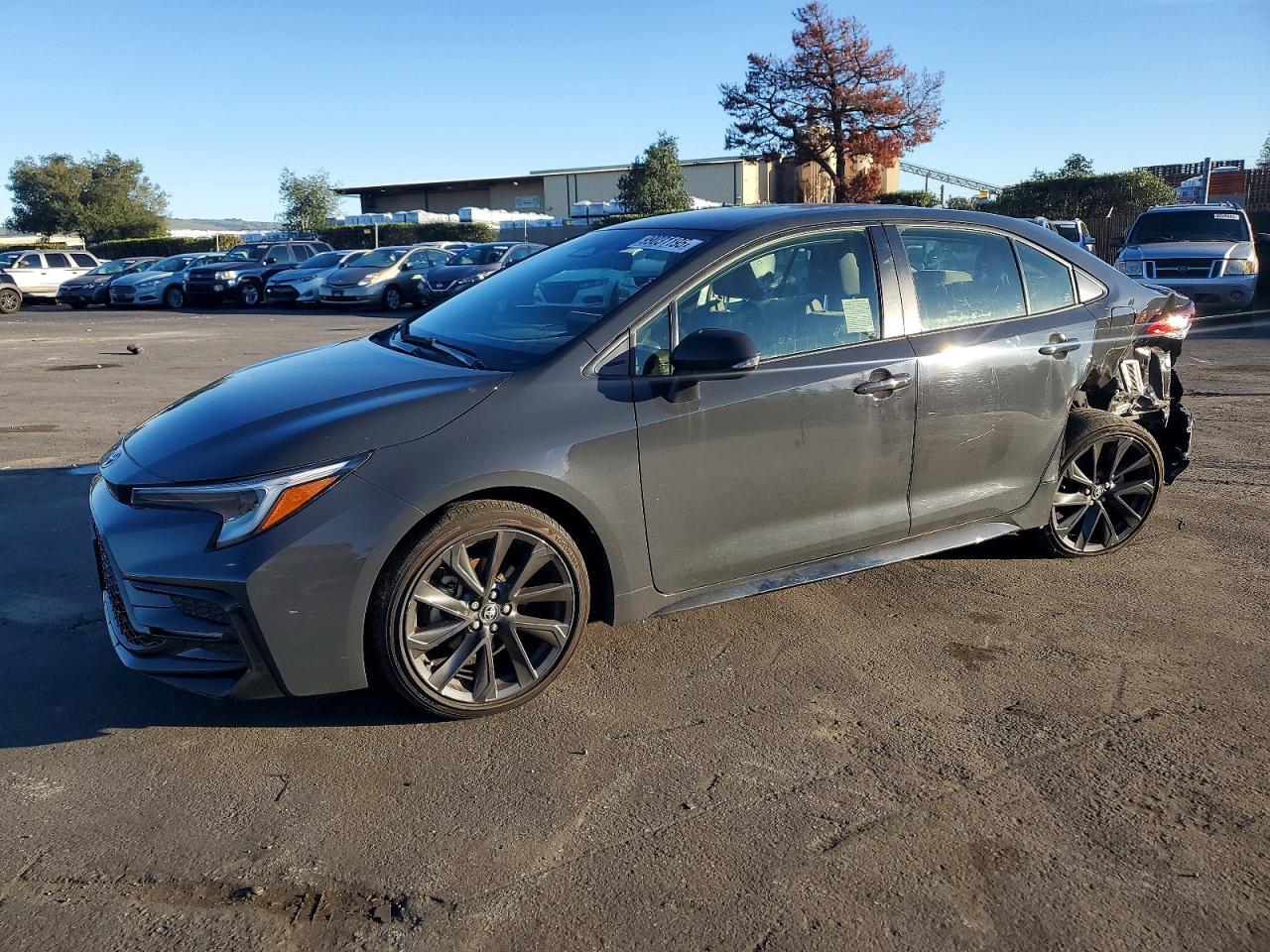 2024 TOYOTA COROLLA