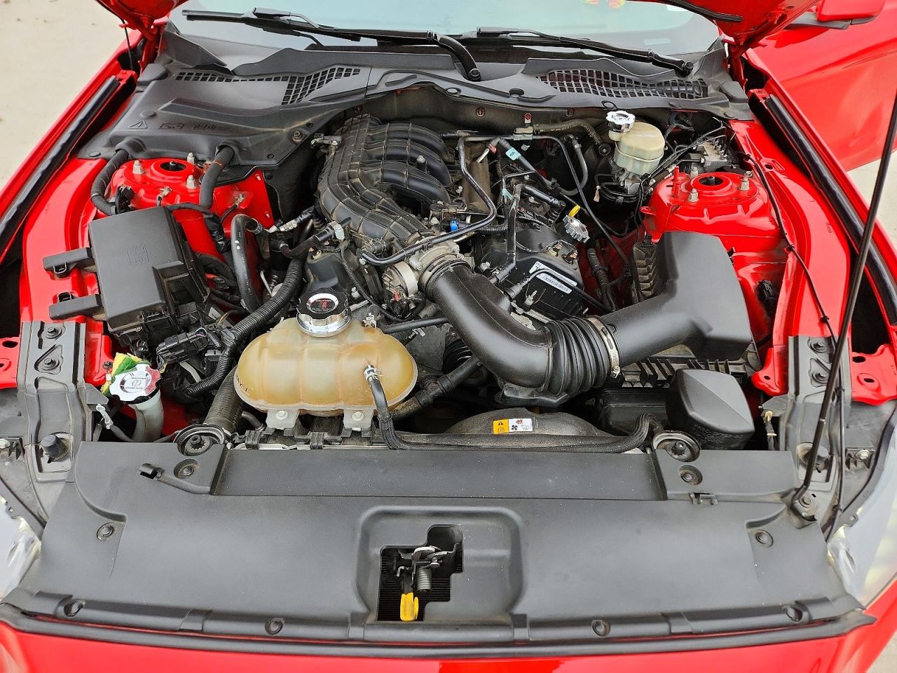 2015 FORD MUSTANG photo 21