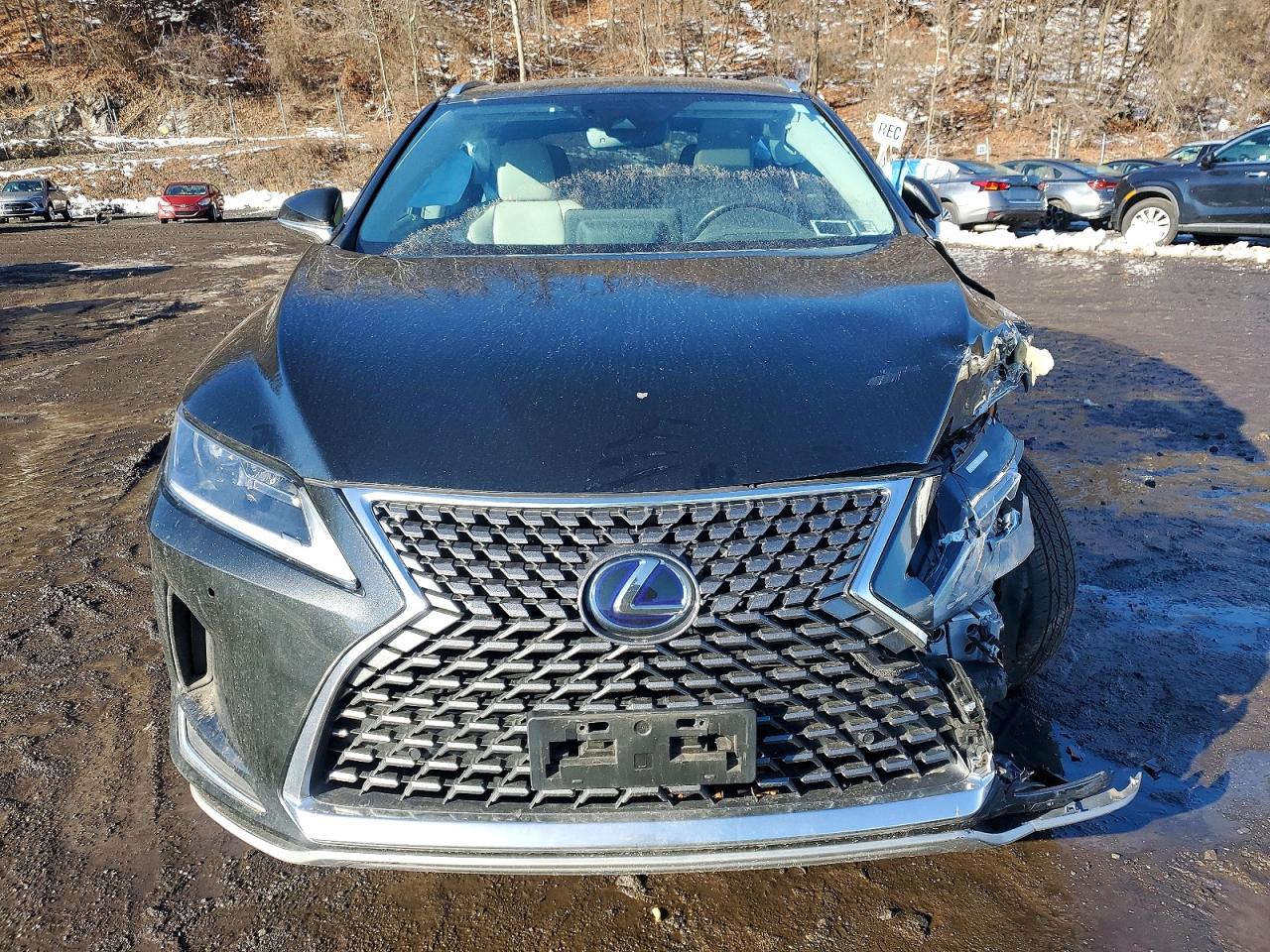 2021 LEXUS RX 450H photo 9