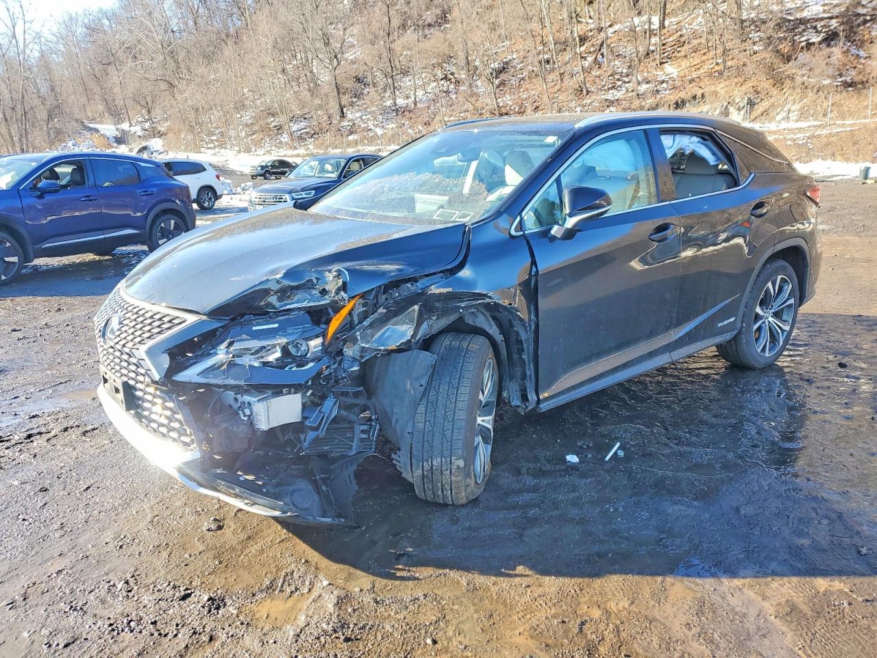 2021 LEXUS RX