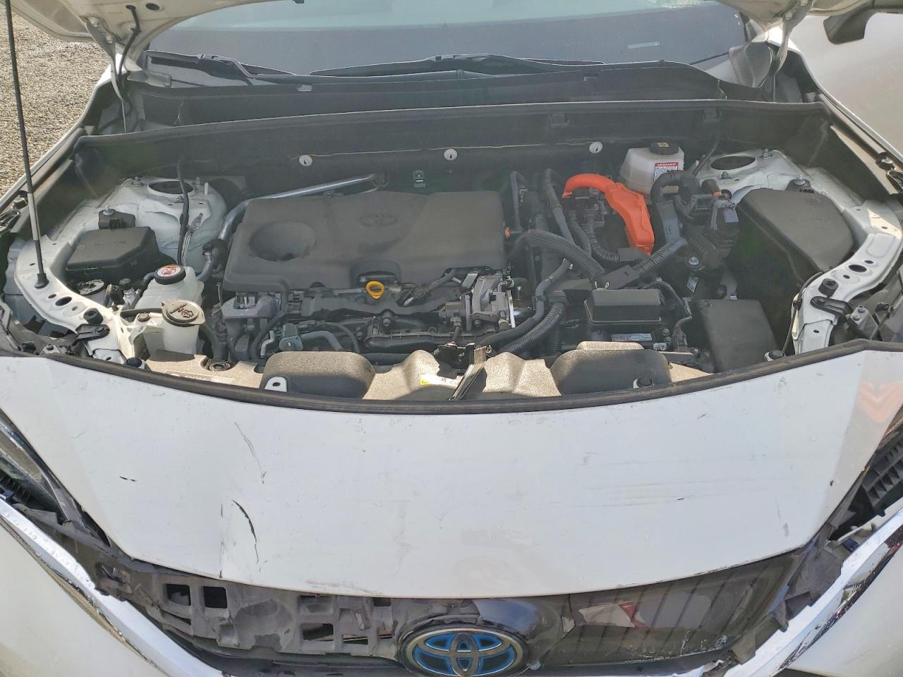 2021 TOYOTA VENZA LE photo 12