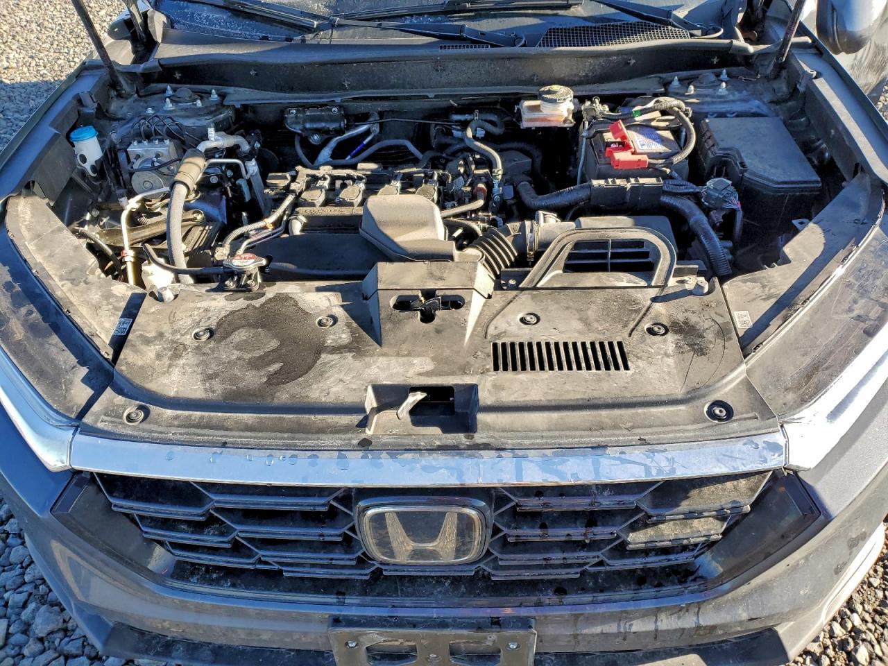 2024 HONDA CR-V EX photo 12