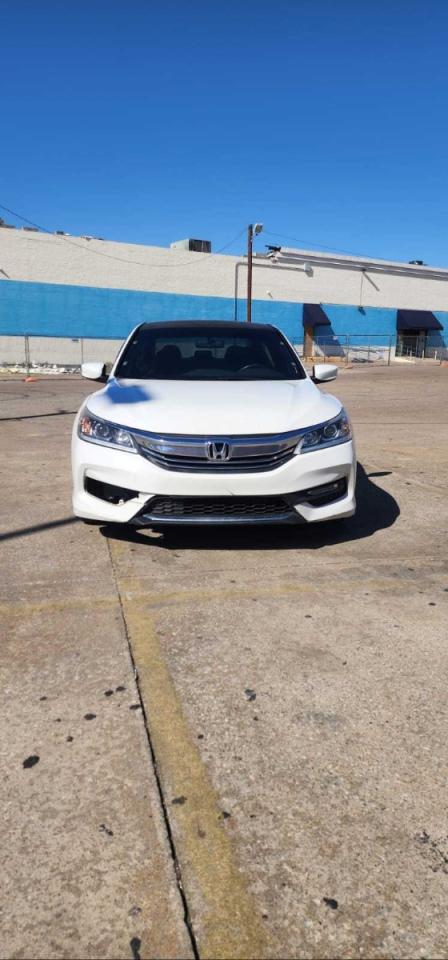 2017 HONDA ACCORD SPORT SPECIAL EDITION photo 7