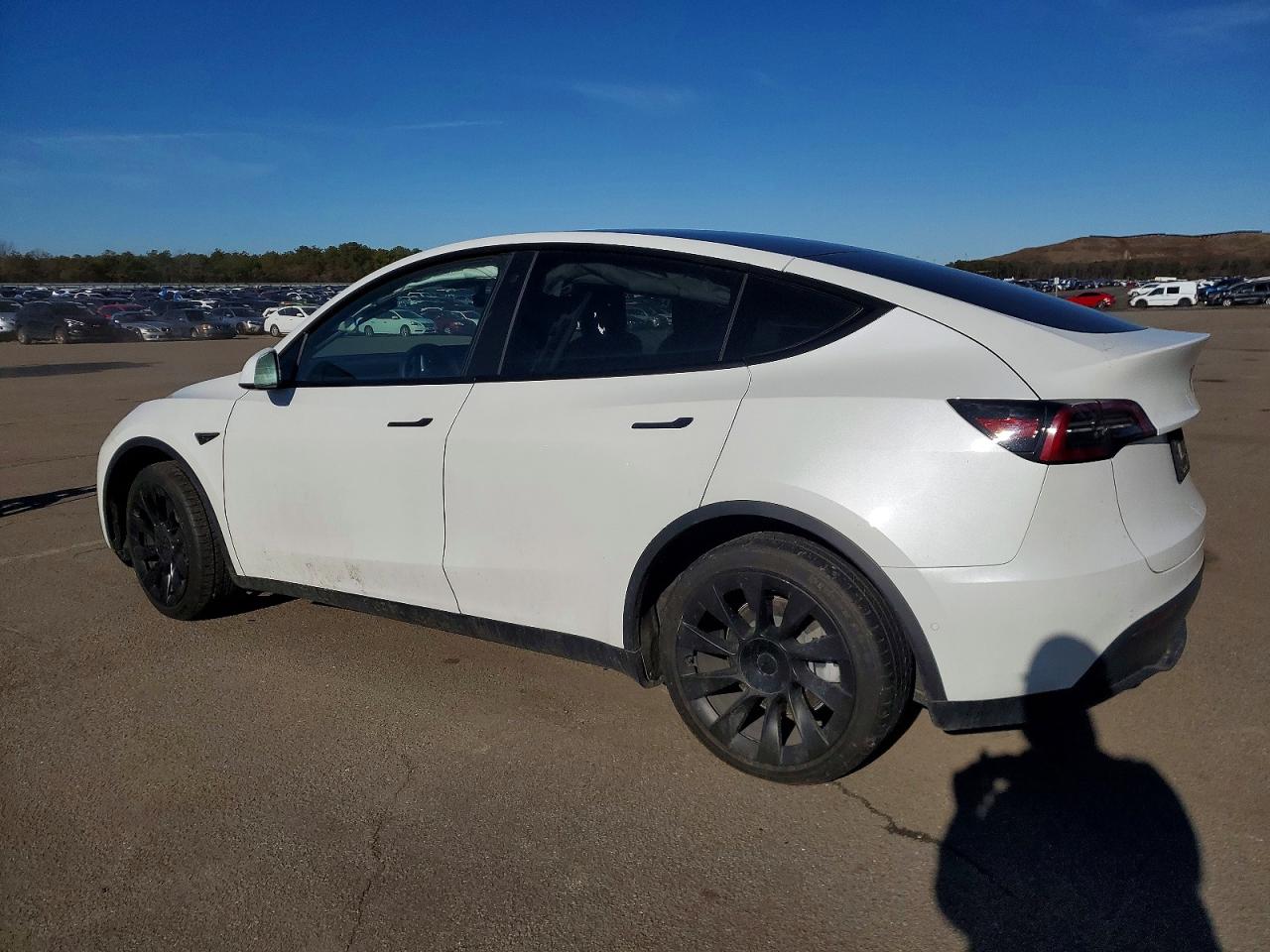 2021 TESLA MODEL Y photo 2