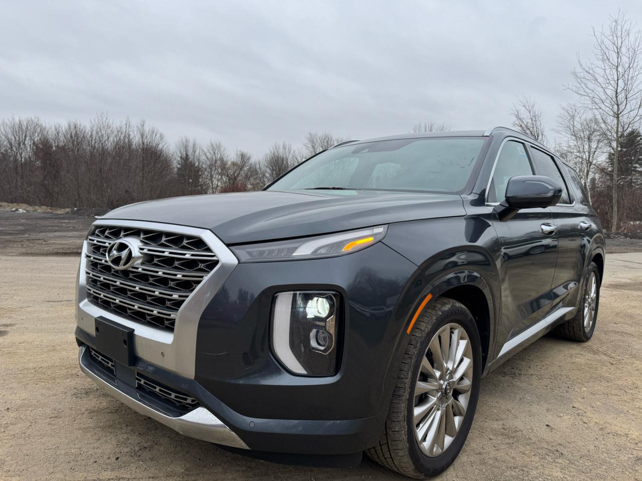 2020 HYUNDAI PALISADE LIMITED photo 2