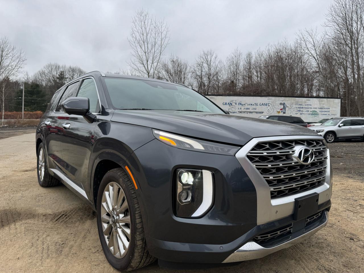 2020 HYUNDAI PALISADE