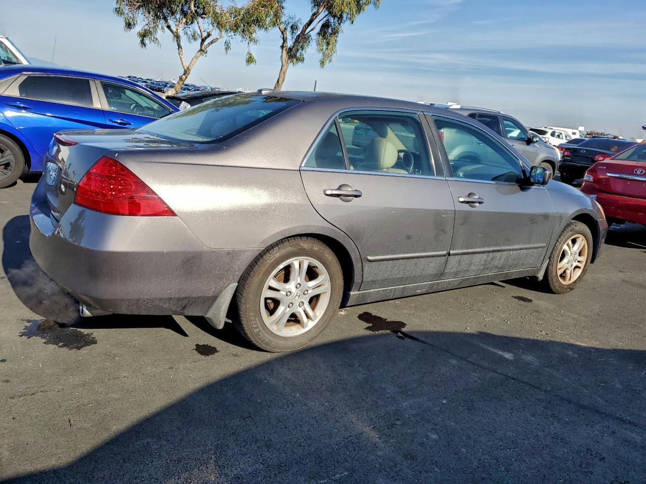 2007 HONDA ACCORD EX photo 3