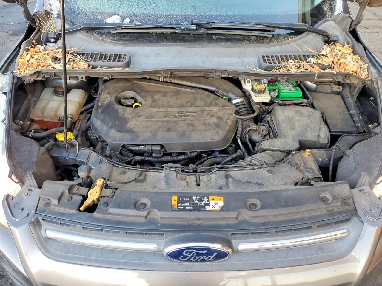 2013 FORD ESCAPE SE photo 12