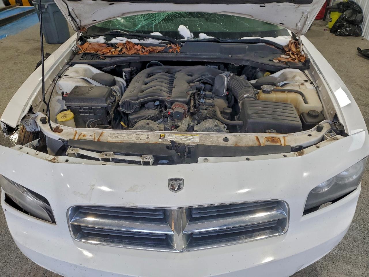 2010 DODGE CHARGER SXT photo 11