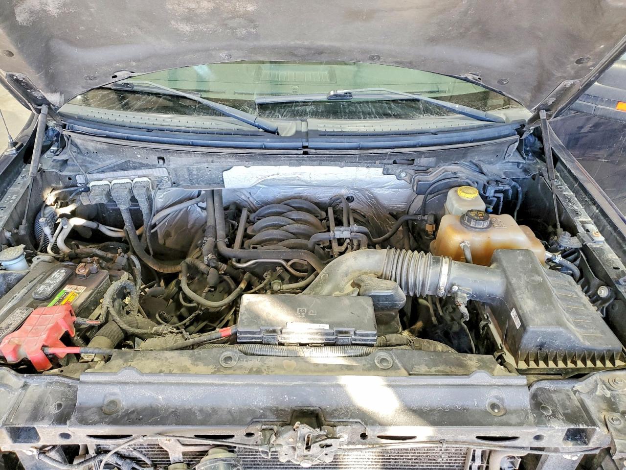 2014 FORD F150 SUPERCREW photo 11