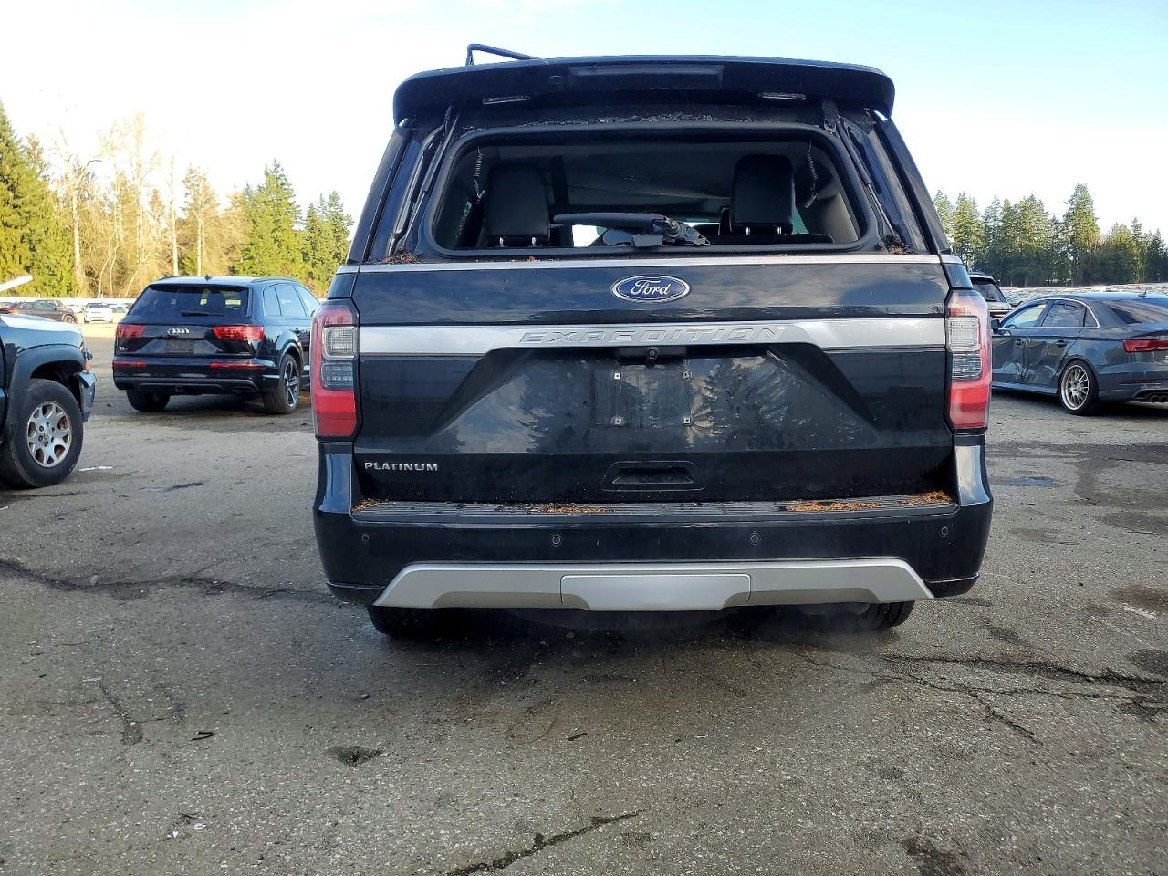 2018 FORD EXPEDITION PLATINUM photo 6