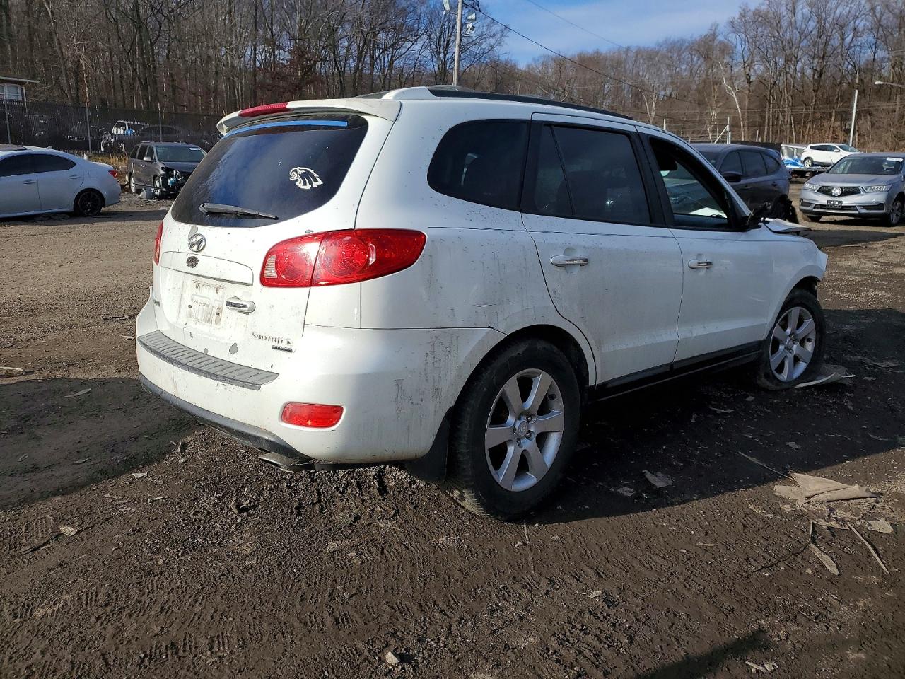 2007 HYUNDAI SANTA FE SE photo 5