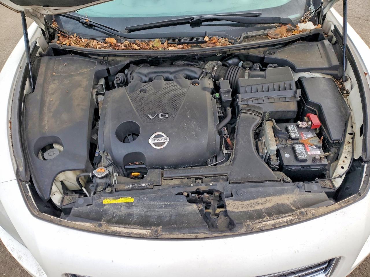 2010 NISSAN MAXIMA S photo 21