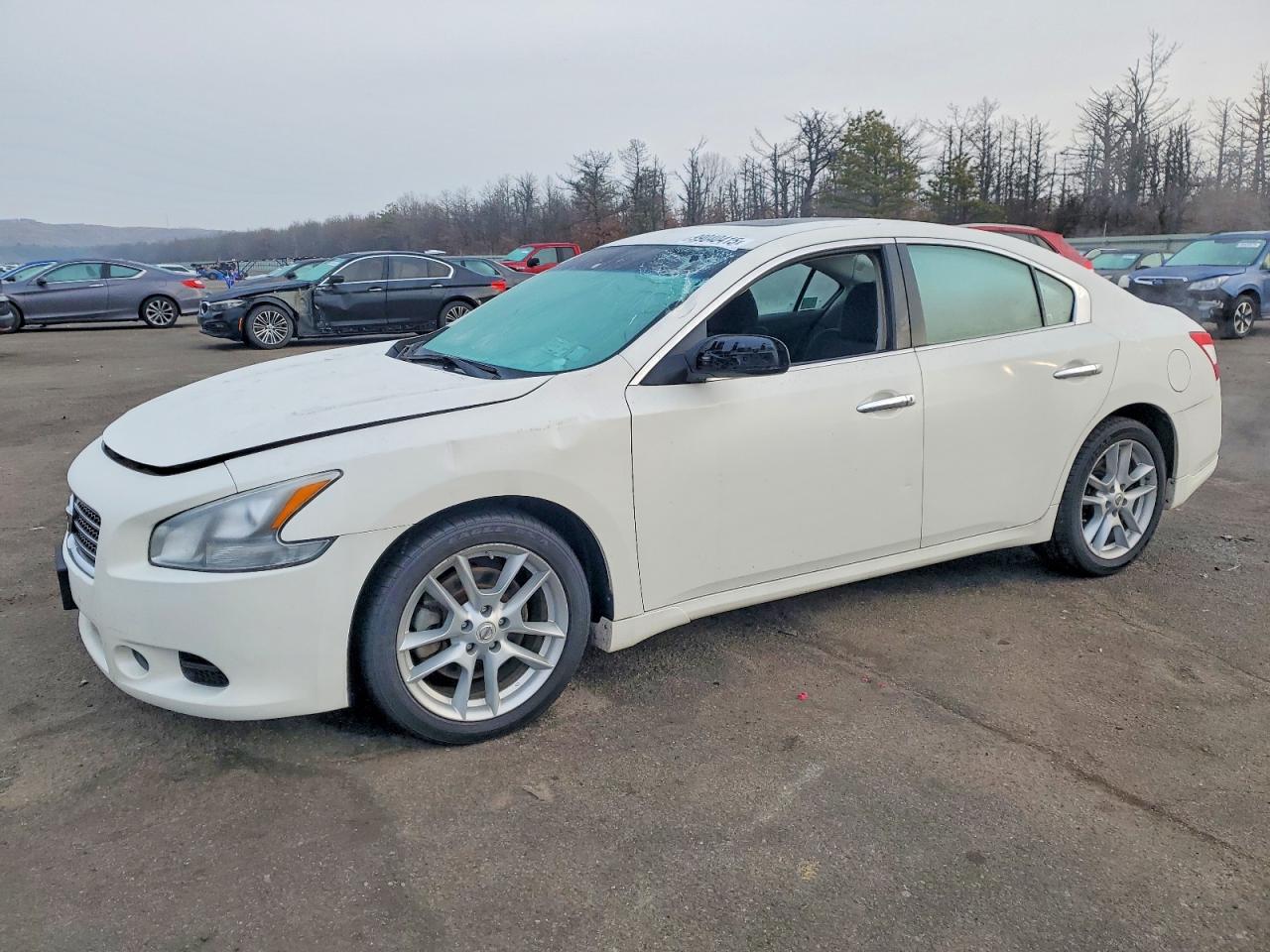 2010 NISSAN MAXIMA