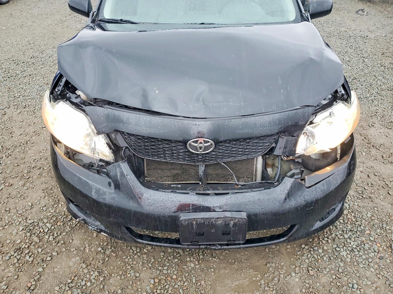 2010 TOYOTA COROLLA photo 11