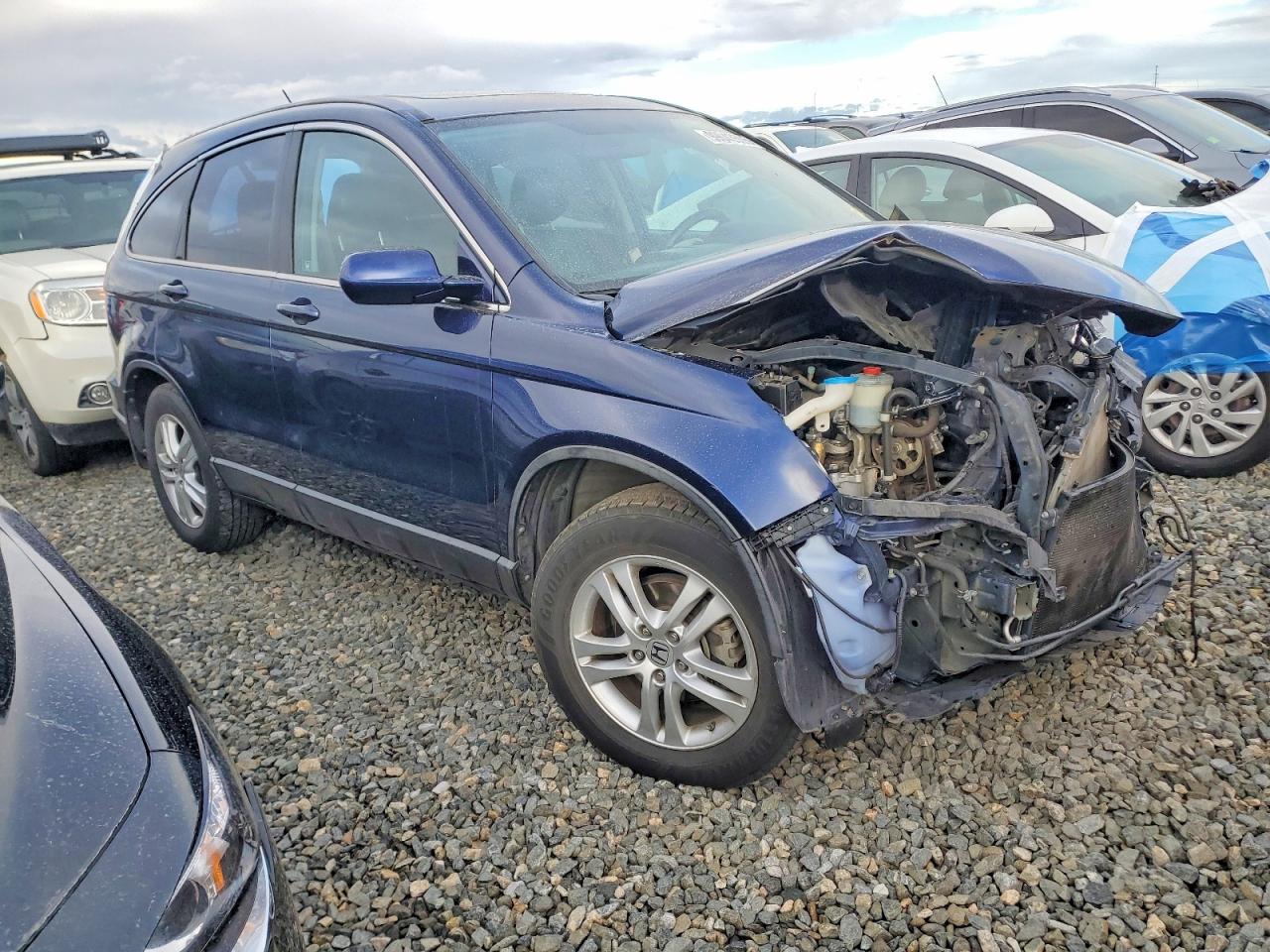 2010 HONDA CR-V EXL photo 4