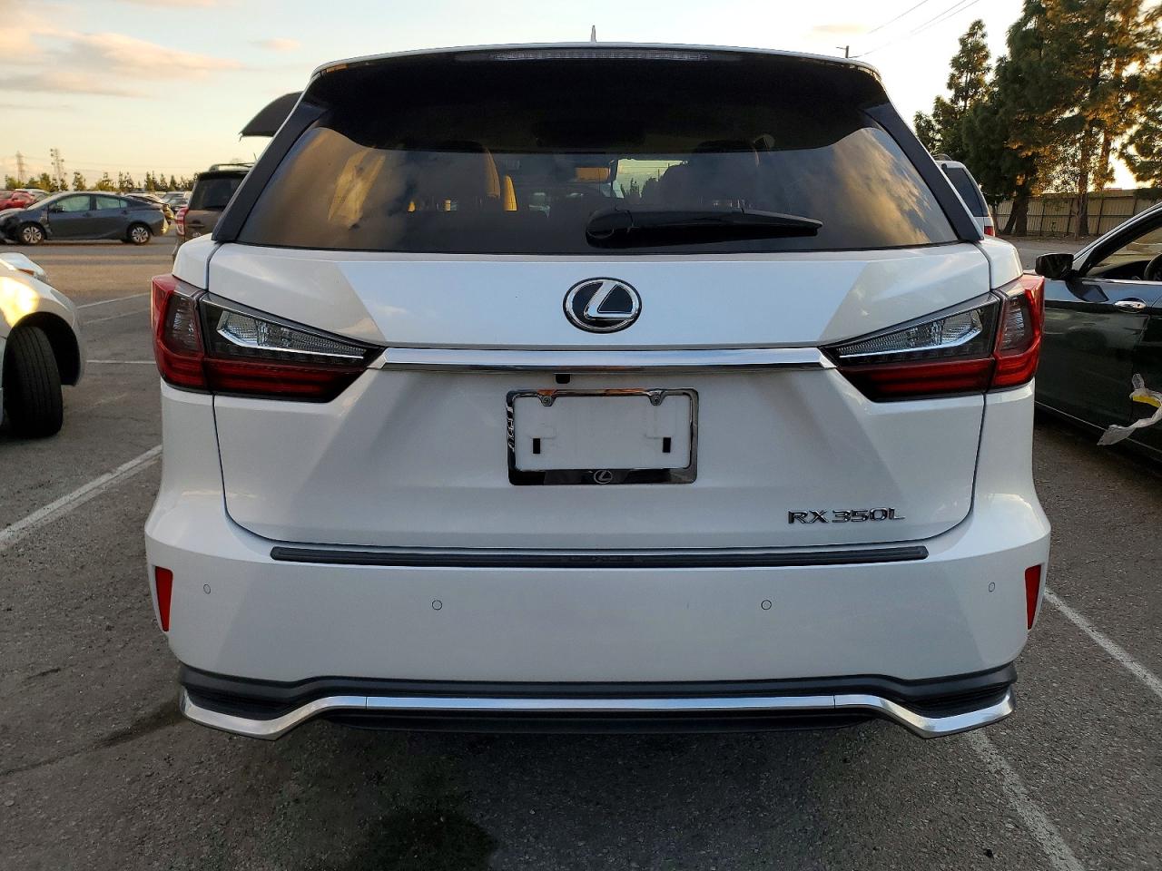 2018 LEXUS RX 350 L photo 11