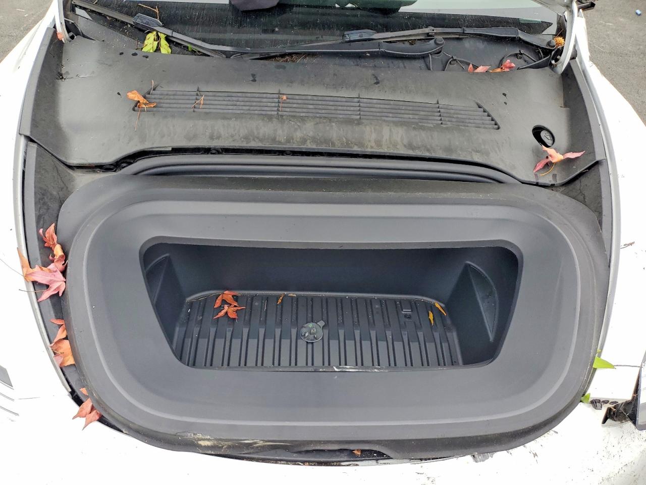 2021 TESLA MODEL Y photo 11