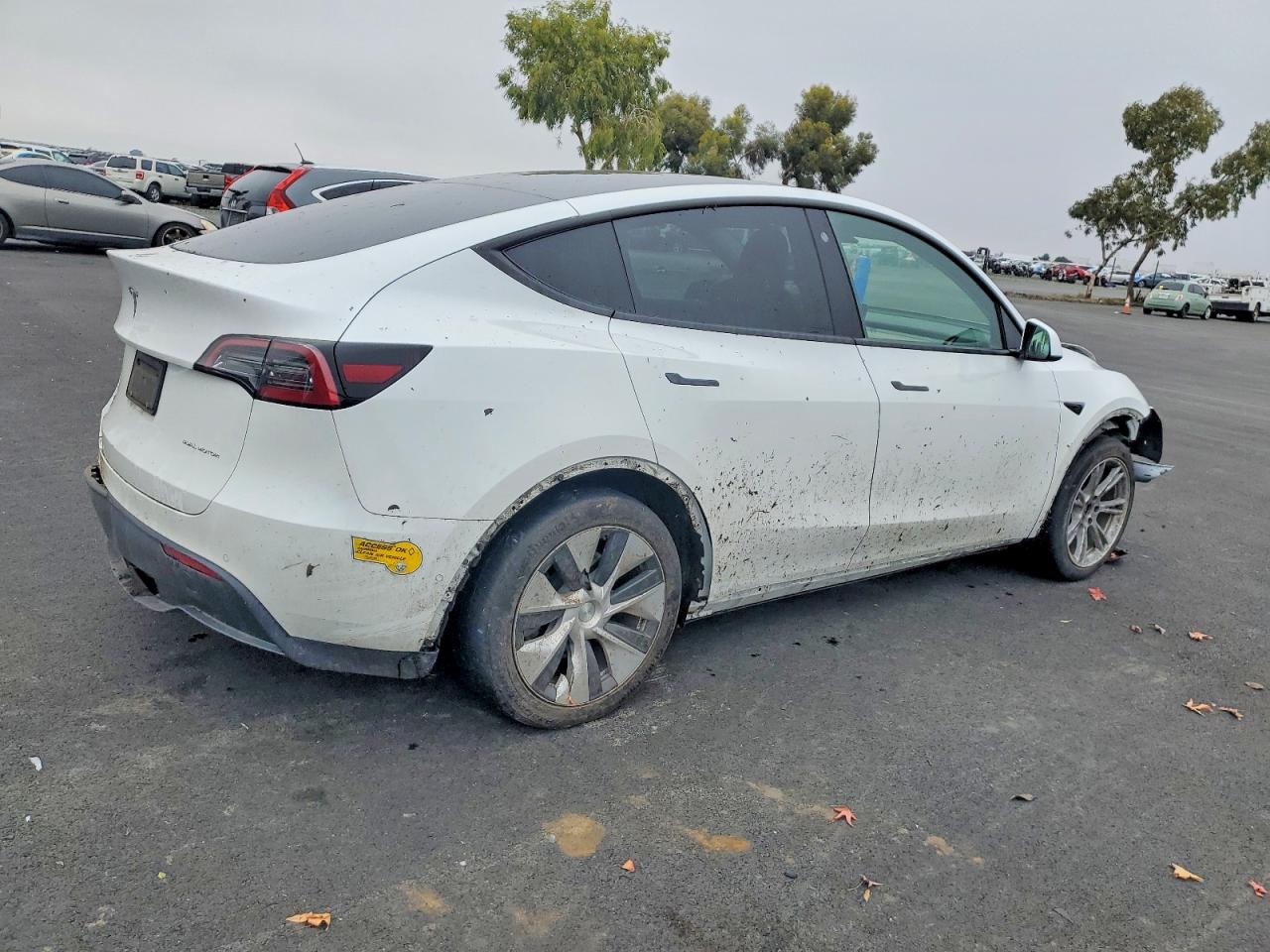 2021 TESLA MODEL Y photo 3