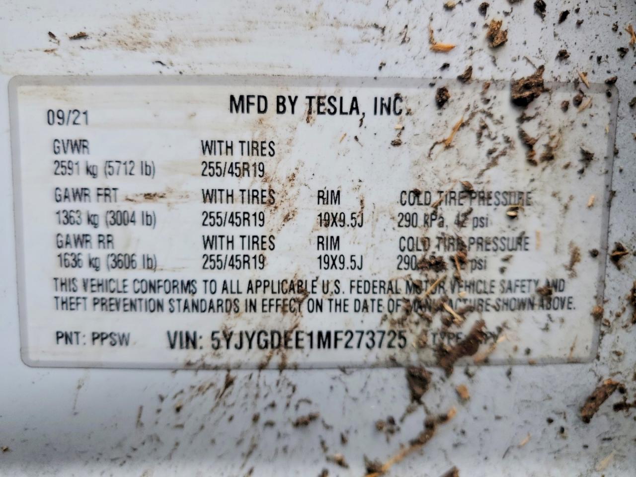 2021 TESLA MODEL Y photo 12