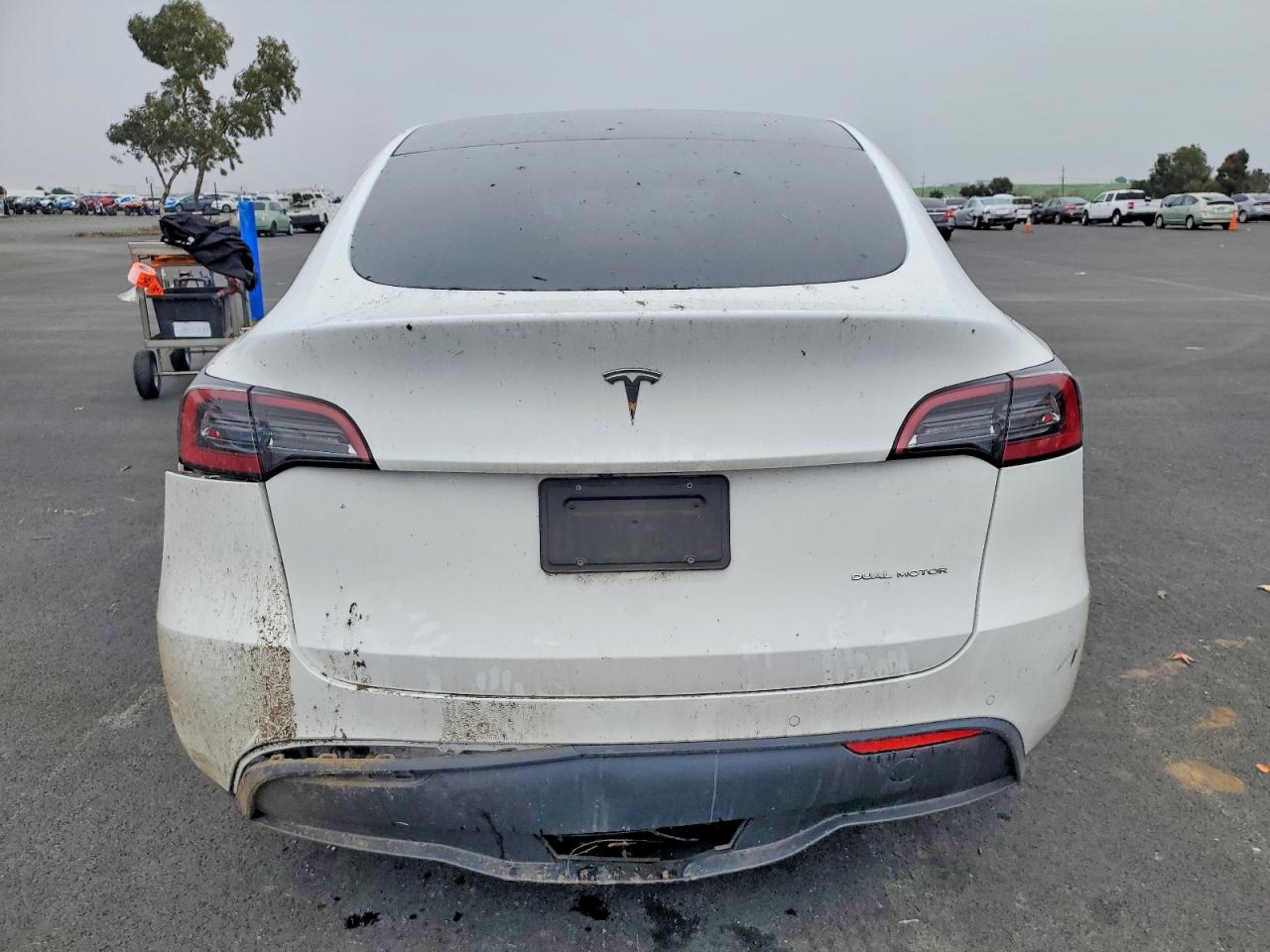 2021 TESLA MODEL Y photo 6
